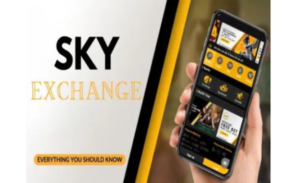 online cricket id IPL Live Bet, online cricket id, vision11 new cricket id, 11wickets new cricket id, 24betting new cricket id